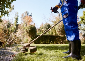 Trimming & Maintenace